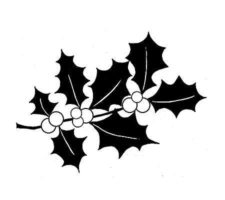 Holly LAV086