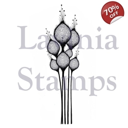 Lavinia Fairy Thistles LAV378