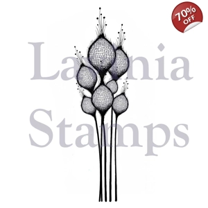 Lavinia Fairy Thistles LAV378