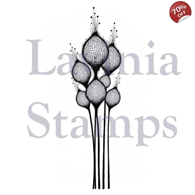 Lavinia Fairy Thistles LAV378