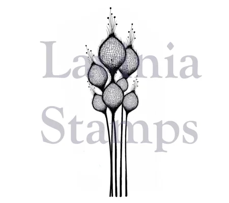 Lavinia Fairy Thistles LAV378