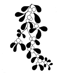 Mistletoe LAV091