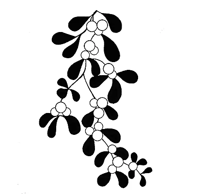 Mistletoe LAV091