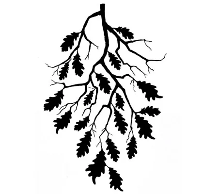 Oak Leaf Branch – LAV468
