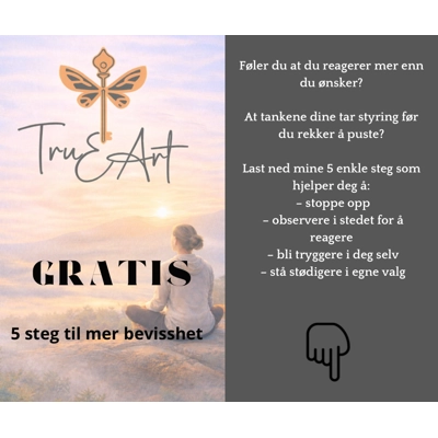 GRATIS 5 steg til mer bevissthet
