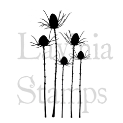 Silhouette Thistle LAV411