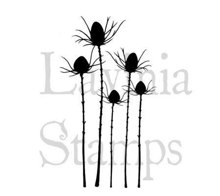 Silhouette Thistle LAV411