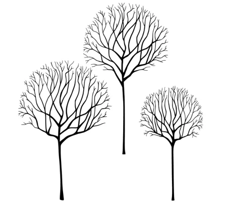 Skeleton Tree Scene