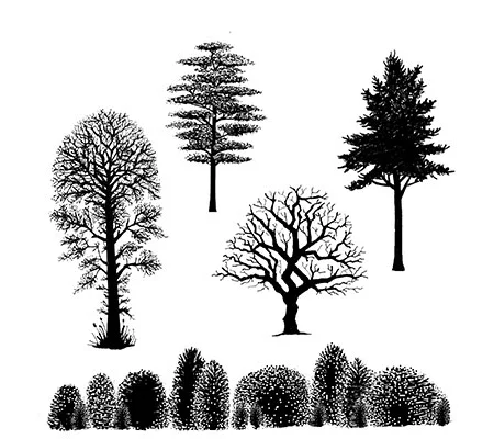 Tree Scene LAV219