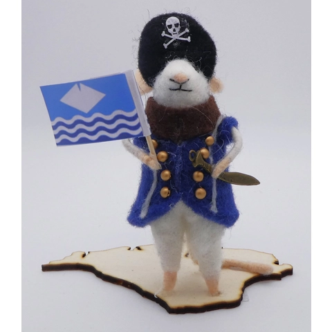 Felt Pirate