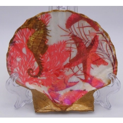 Hand Decorated Shell