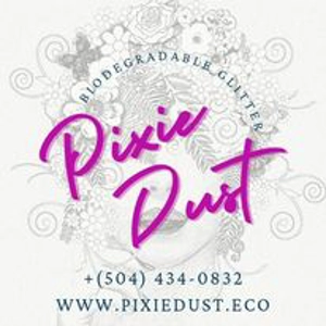 Pixie Dust Basket Raffle Tickets