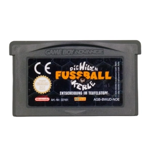 Die Wilden Fussballkerle: Entscheidung im Teufelstopf