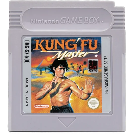 Kung Fu Master
