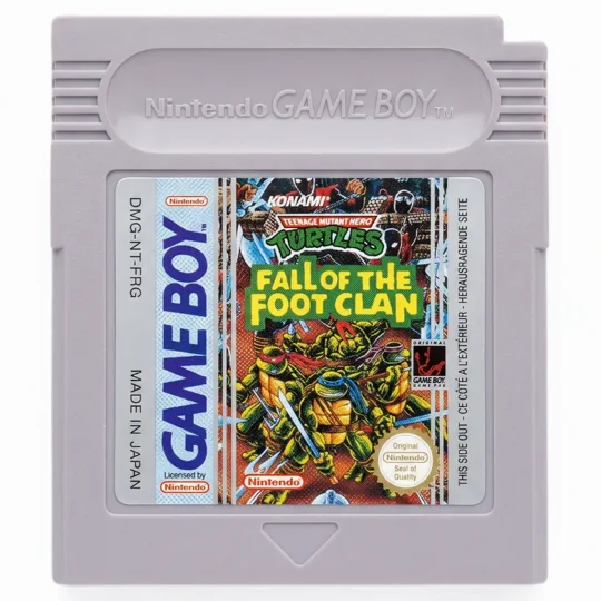 Teenage Mutant Hero Turtles: Fall of the Foot Clan