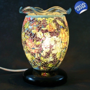 FORTUNA ELECTRIC WARMER