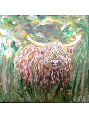 Highland Cow