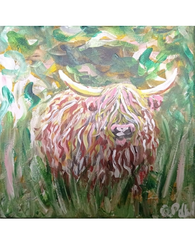 Highland Cow