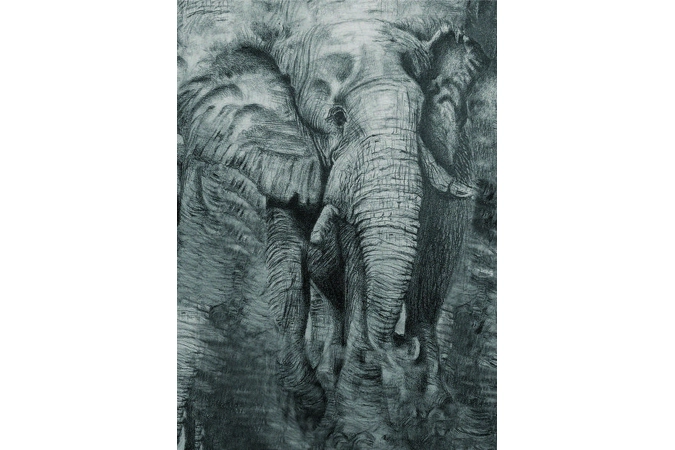 Art-Elephant...