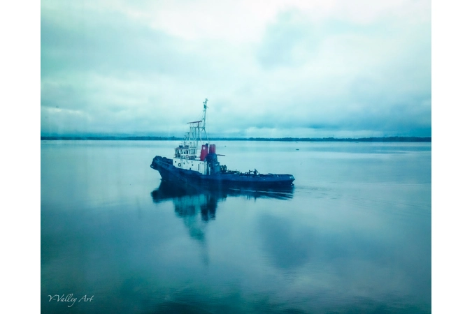 Rest and Surprise...