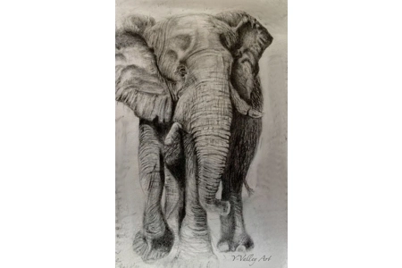 Art-Elephant-Never Forgets ... Art-Elephant-Never Forgets ...
