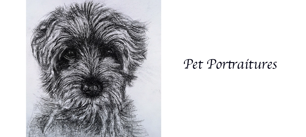 Pet Portraitures