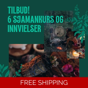 Tilbud! 6 Sjamankurs/innvielser
