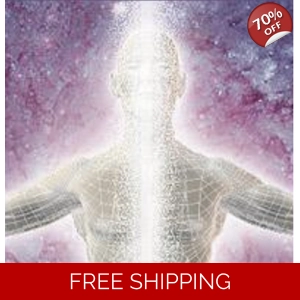 LIGHT PARTICULAR ASSIMILATION