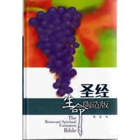 生命陶造版聖經(精装簡體) 08101171
