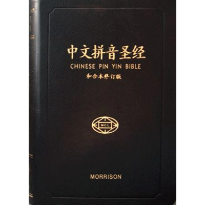 Simplified Chinese Pinyin Bible中文拼音簡體聖經·皮面·金邊·拇指索引 081051 Simplified Chinese Pinyin Bible中文拼音簡體聖經·皮面·金邊·拇指索引 081051