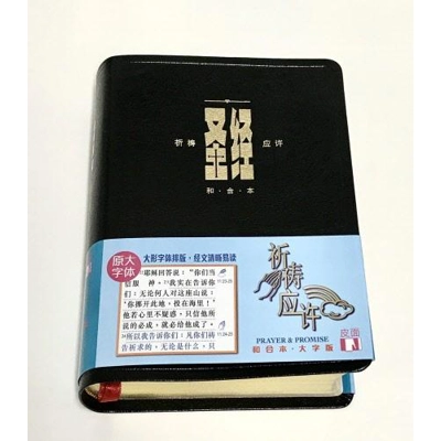 大字聖經 (簡體) - 祈禱應許版皮面金邊 CAS1479 大字聖經 (簡體) - 祈禱應許版皮面金邊 CAS1479