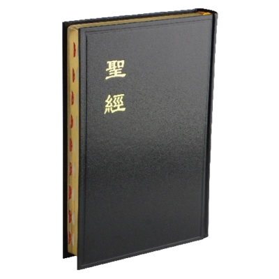 大字聖經 - 和合本黑色硬面金邊神版 CU83AG 大字聖經 - 和合本黑色硬面金邊神版 CU83AG