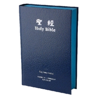 中英聖經 - KJV/新標點和合本 - 硬面精裝 CUNP63DI