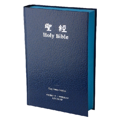 中英聖經 - KJV/新標點和合本 - 硬面精裝 CUNP63DI