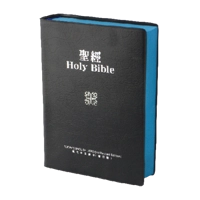 Today's English Version / 現代中文譯本 (修訂版) 色膠面邊 TEVTCV52DIBU