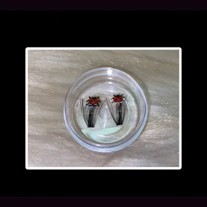 Lady bug rhinestone clusters