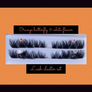 CLUSTER SET: ORANGE BUTTERFLY & FLOWER