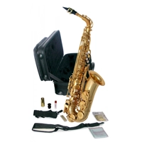PROFESSIONAL ALTO SAXOPHONE WITH CASE