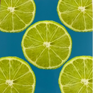 Chic-Lime-artwork-8x8-UnFramed