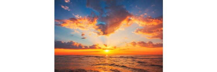 If your loved one could write you a message, it would be this.