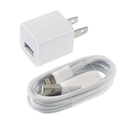 Apple iPhone Charger