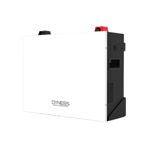 Dyness A48100 Lithium Battery - 48V 100Ah 4.8KWh