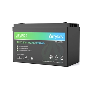 Dyness 12V 100Ah AR1.2 - 1280Wh LiFePO4