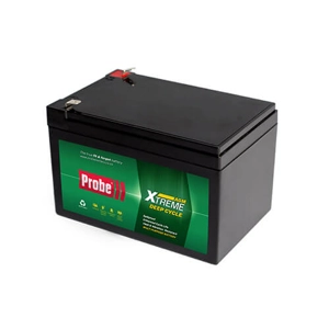 DELTEC/PROBE 12AH 12V Battery