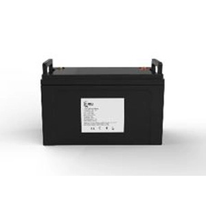 SW 1,53KWh Lithium Ion Battery