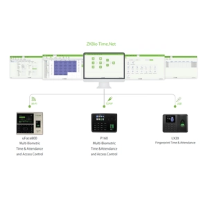 ZKTime.NET 3.1 - 500