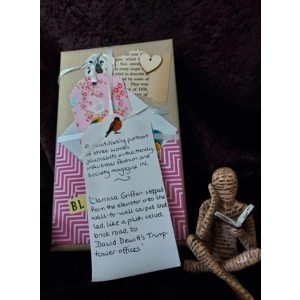 A scintillating portrait - surprise book No 10
