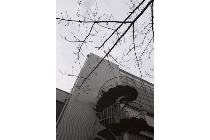 Complementarity - 相補性