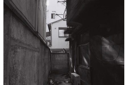 Lone cat - 孤独 Lone cat - 孤独