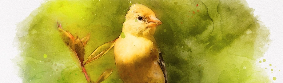 I Love Things In Nature